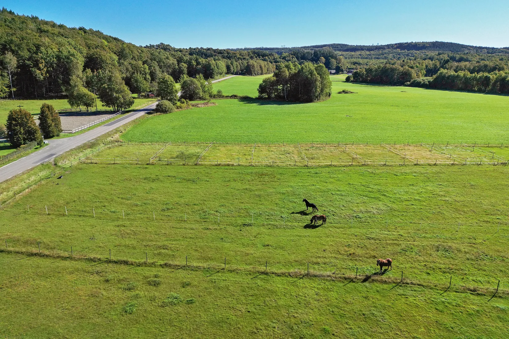 Gård/Skog, Veddigevägen 259, Kungsbacka