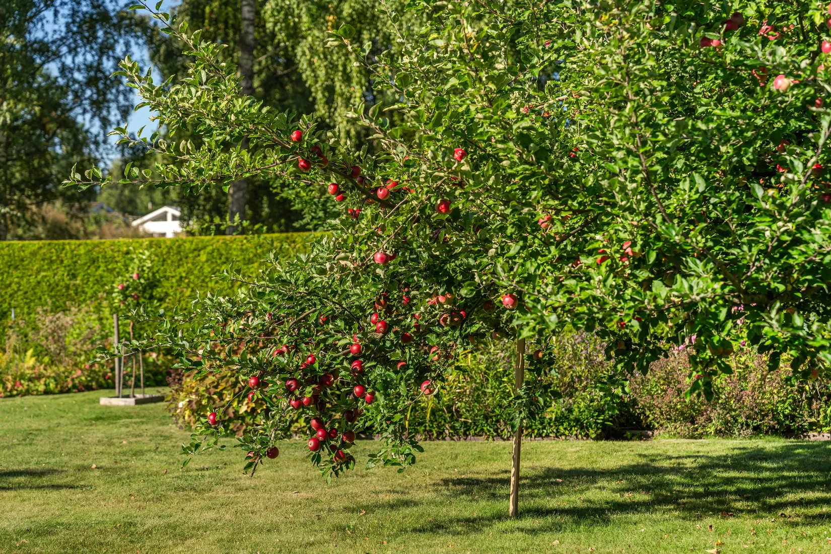 Villa, Tallstigen 12, Stöpen, Skövde