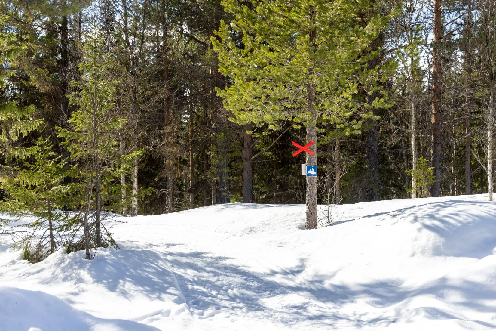 Fritidshus, Björnliden 235, Björnliden, Älvdalen