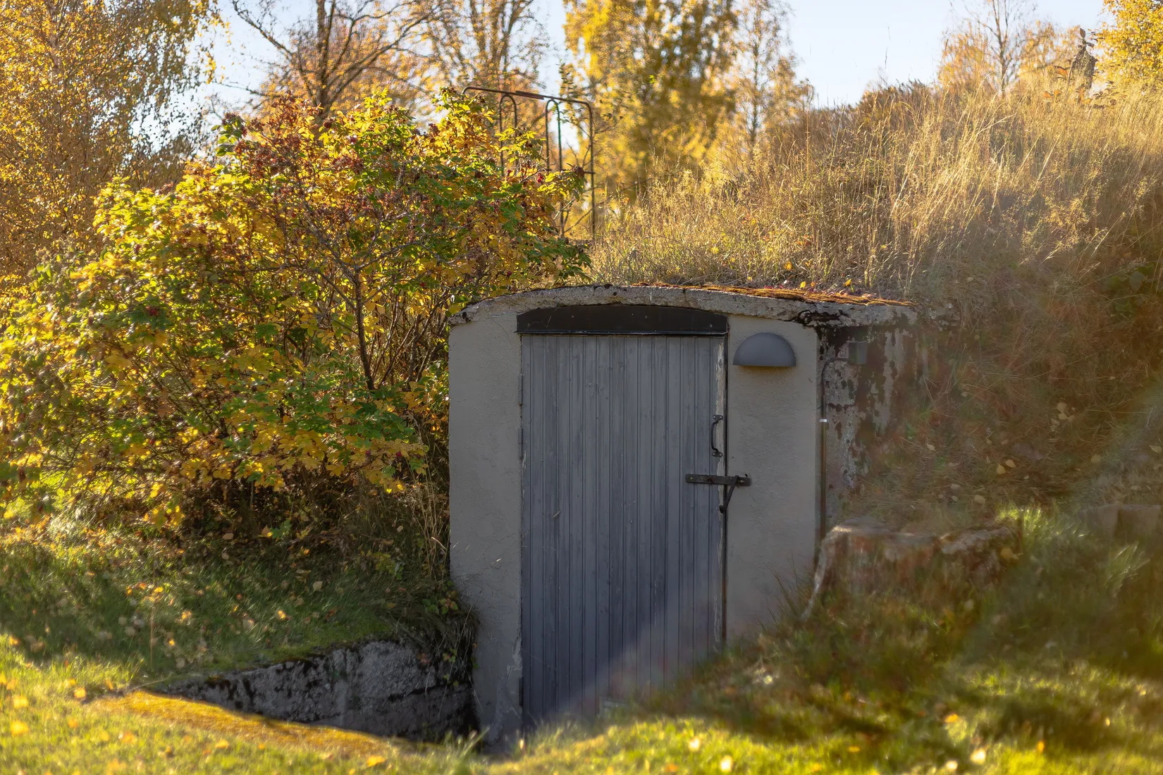 Gård/Skog, Kungsbergsvägen 36, Sandviken