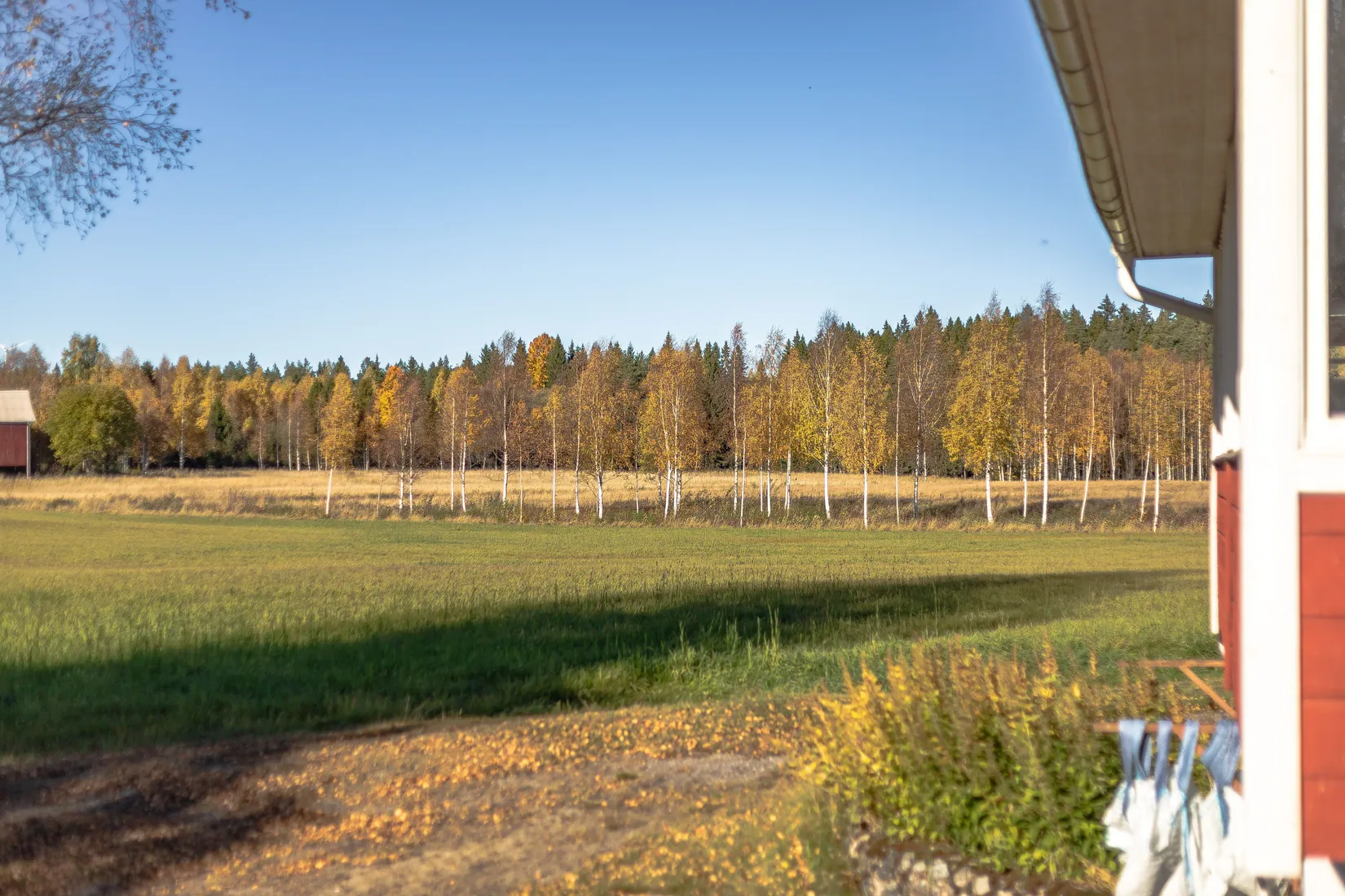 Gård/Skog, Kungsbergsvägen 36, Sandviken