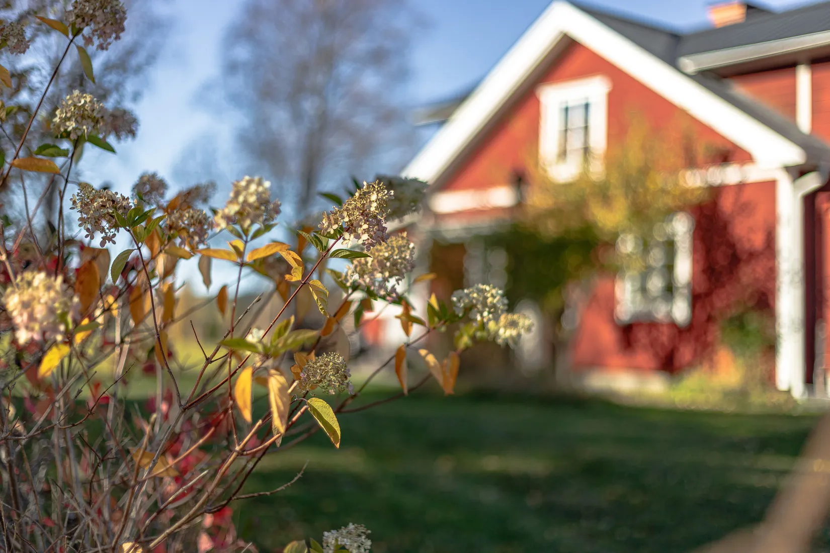 Gård/Skog, Kungsbergsvägen 36, Sandviken