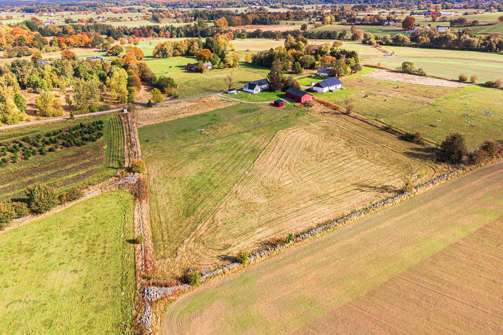 Gård/Skog, Onslunda 1123, Onslunda, Tomelilla