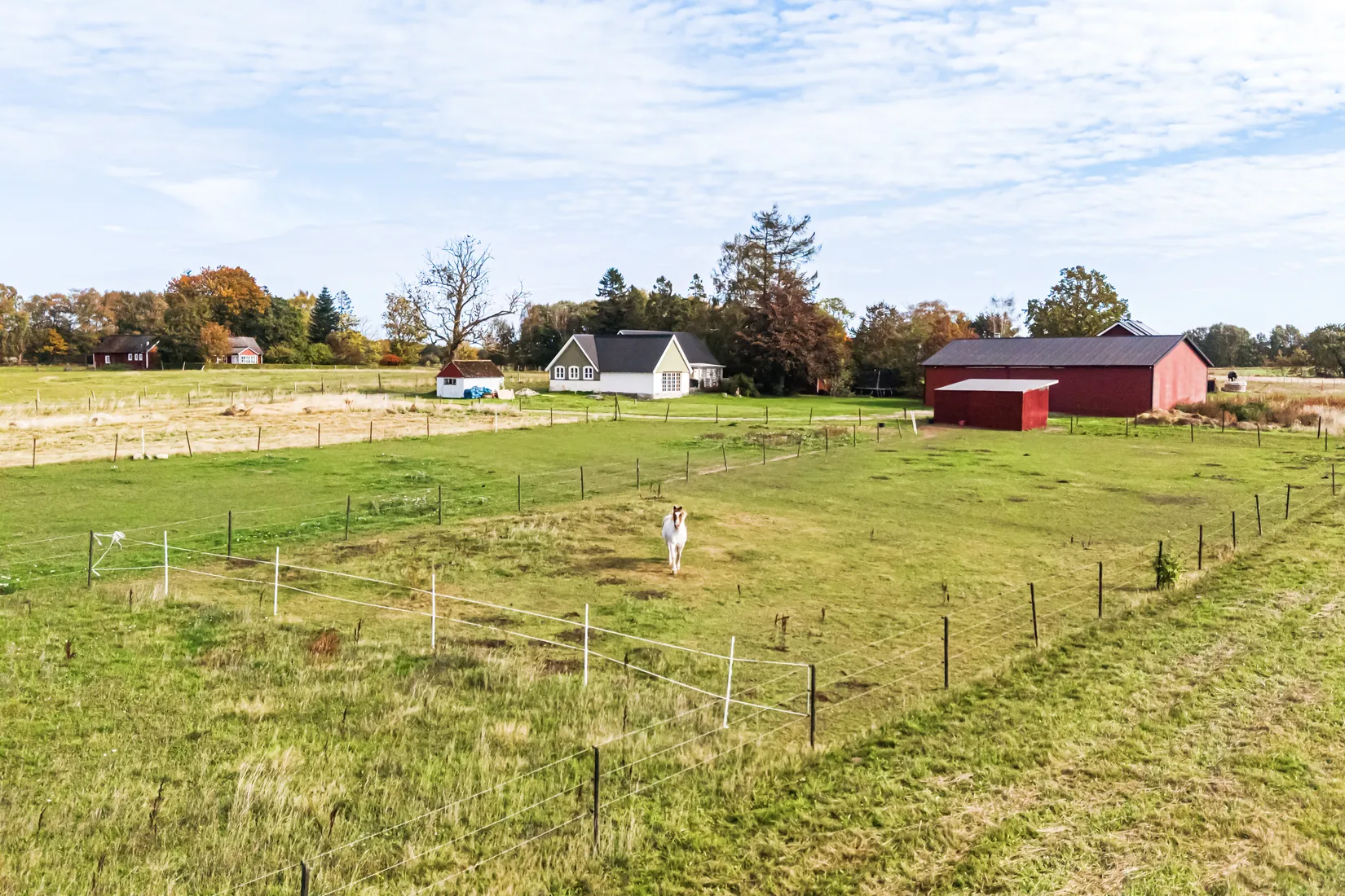 Gård/Skog, Onslunda 1123, Onslunda, Tomelilla