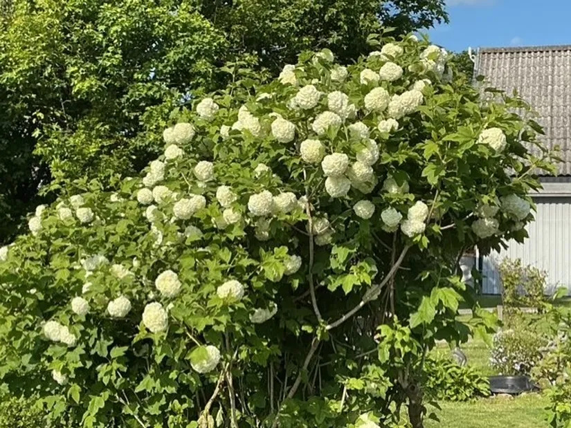 Villa, Råckavägen 17, Tjällmo, Motala