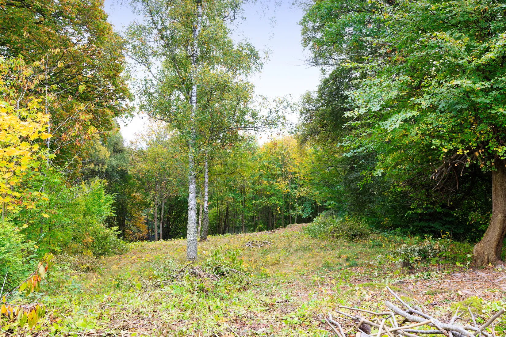 Gård/Skog, Augerumsvägen 48, Karlskrona