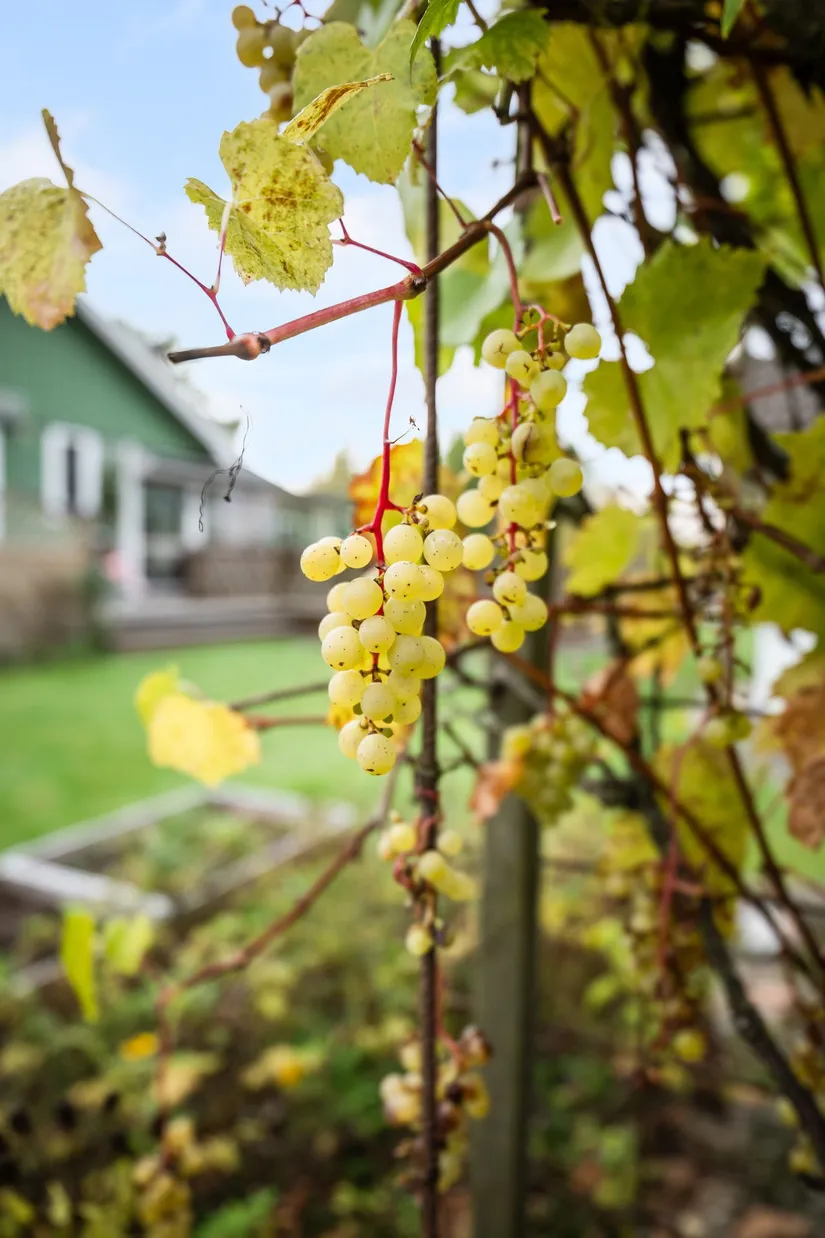 Villa, Tinkelsbo 204, Tinkelsbo, Emmaboda