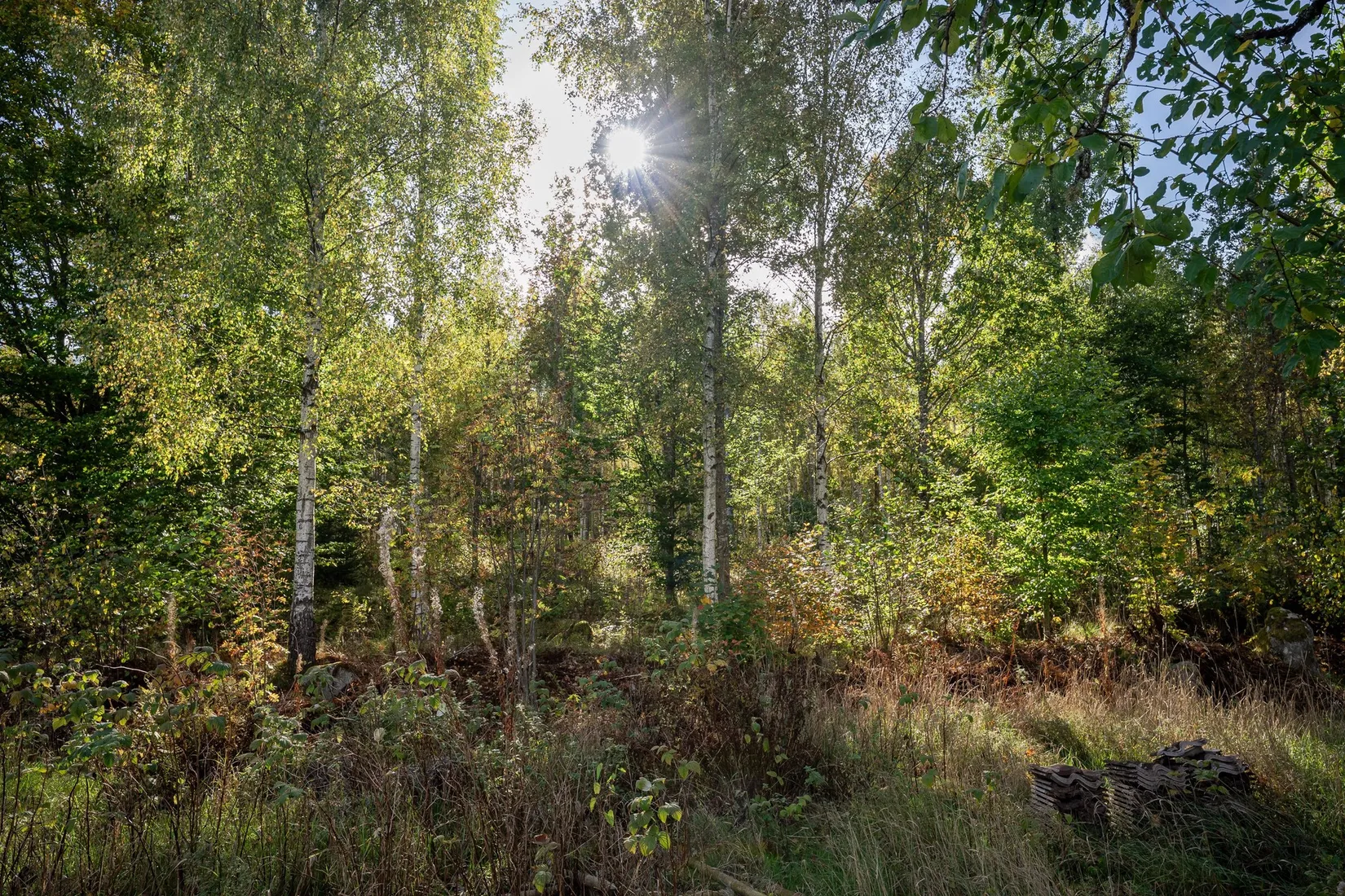 Villa, Stomvägen 13, Långasjö, Emmaboda