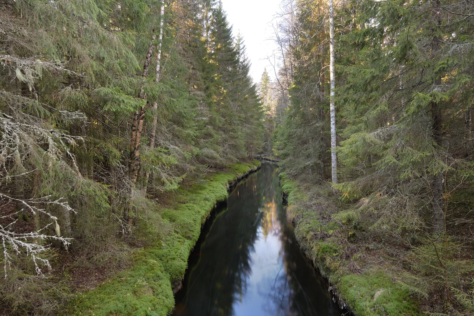 Gård/Skog, Västra Gumboda 29, Gumboda, Robertsfors