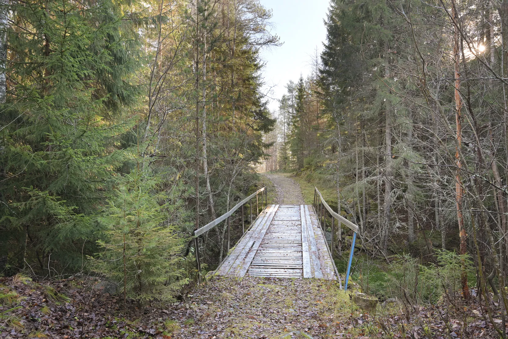 Gård/Skog, Västra Gumboda 29, Gumboda, Robertsfors