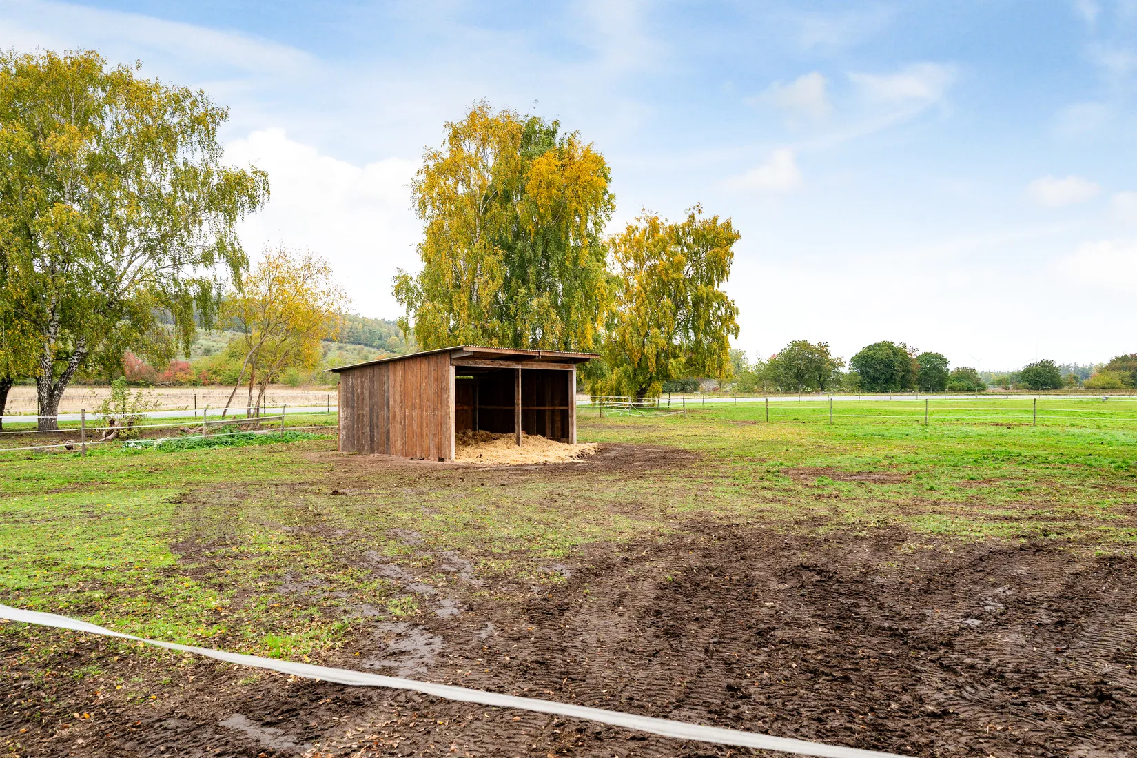 Gård/Skog, Kiabyvägen 120, Fjälkinge, Kristianstad
