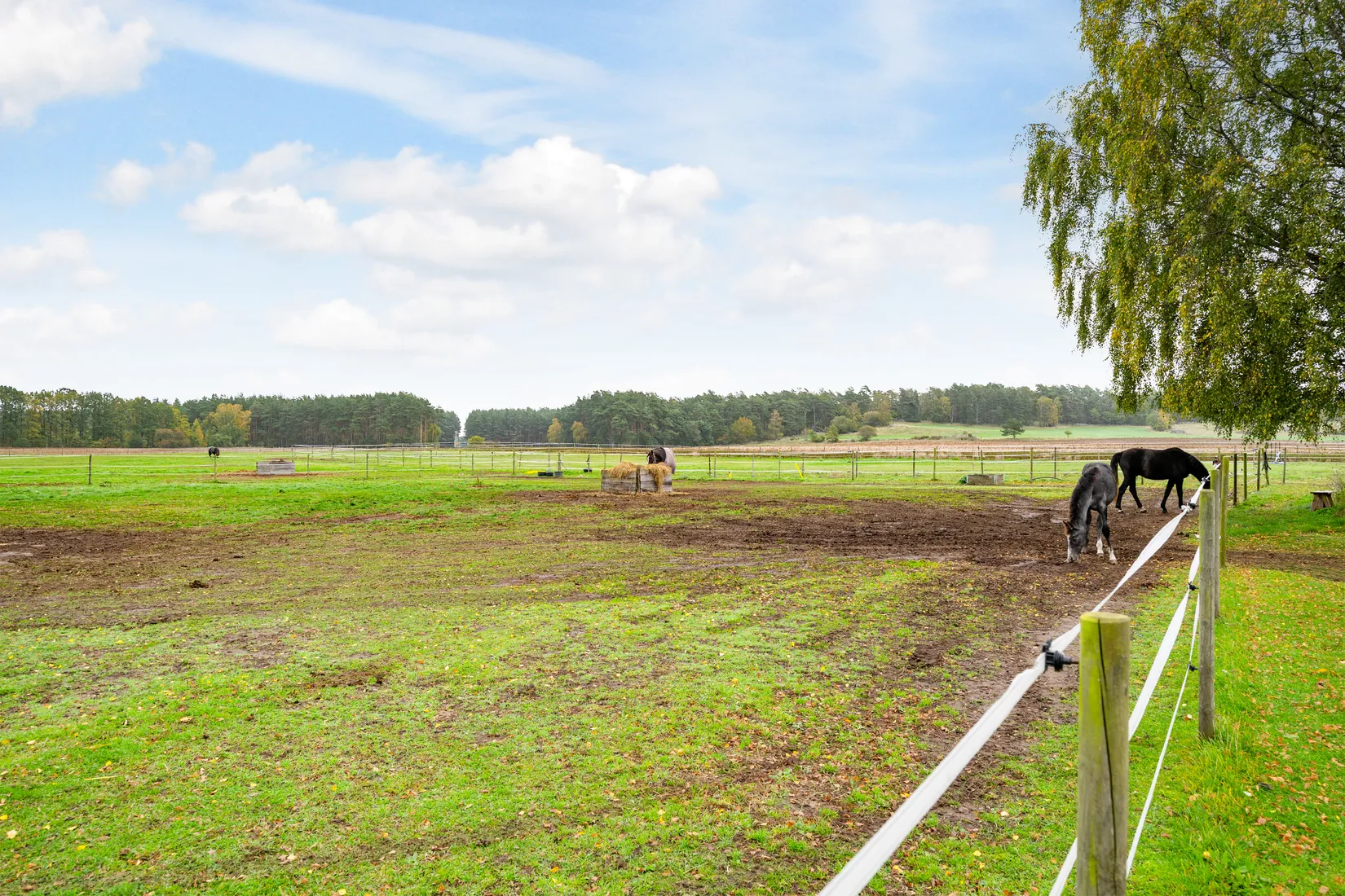 Gård/Skog, Kiabyvägen 120, Fjälkinge, Kristianstad