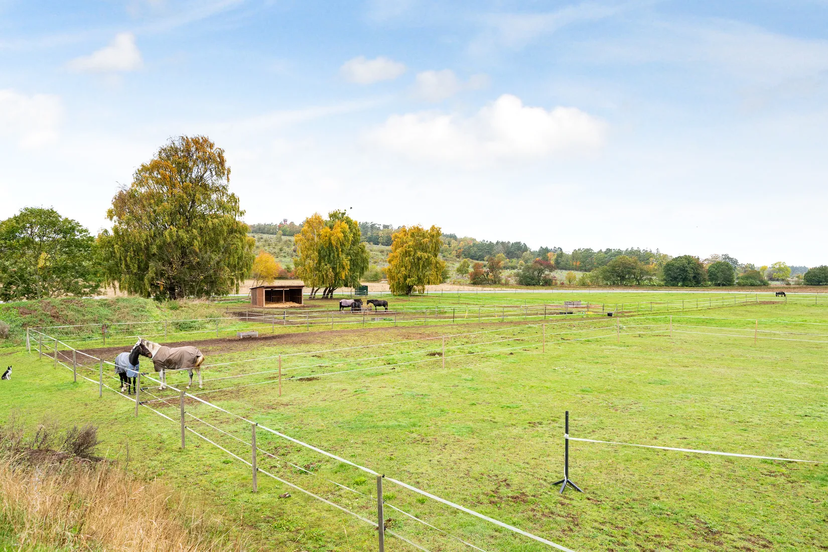 Gård/Skog, Kiabyvägen 120, Fjälkinge, Kristianstad