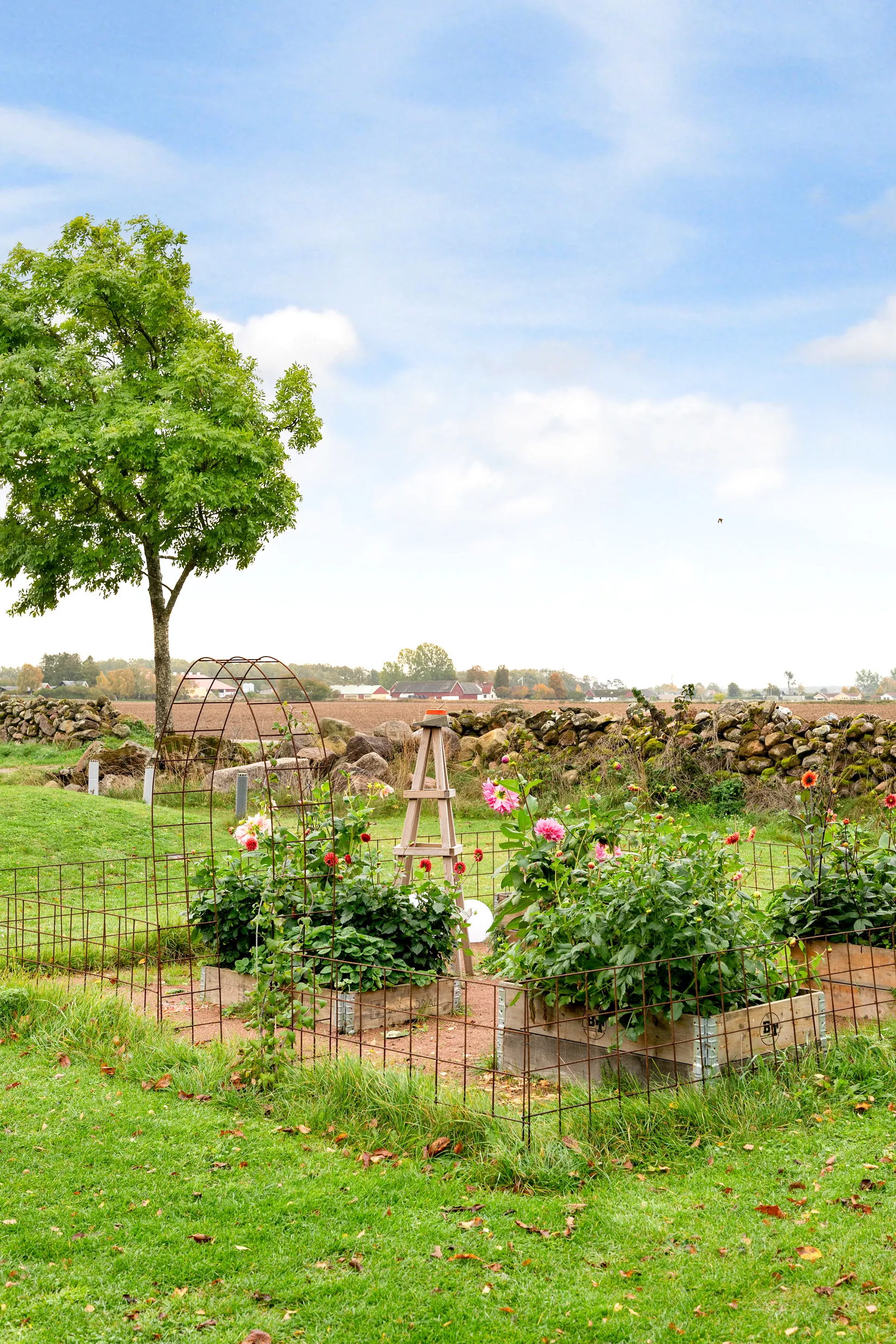Gård/Skog, Kiabyvägen 120, Fjälkinge, Kristianstad
