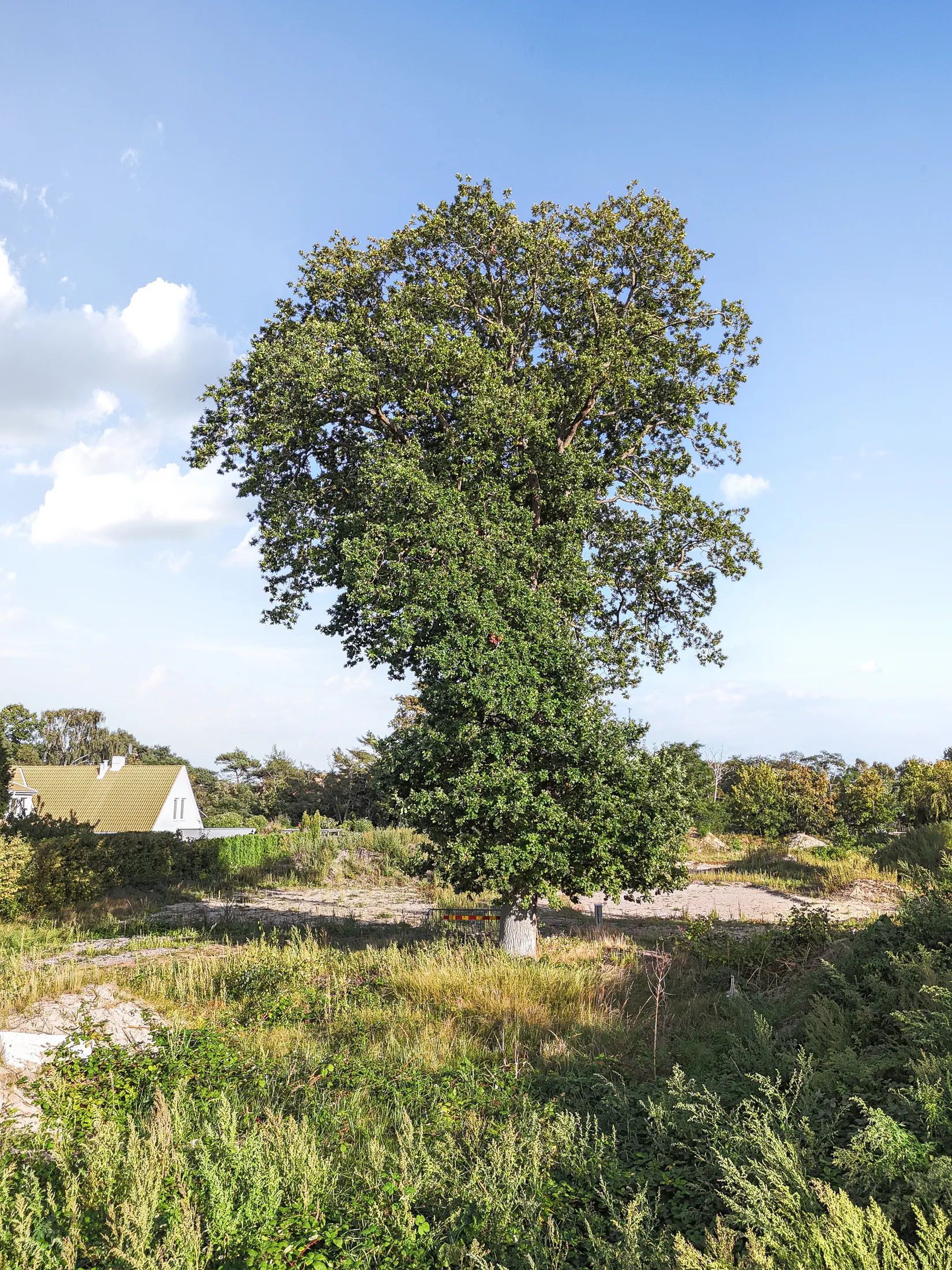 Villa, Drottning Adeles väg 9, Skanör - Falsterbo, Vellinge