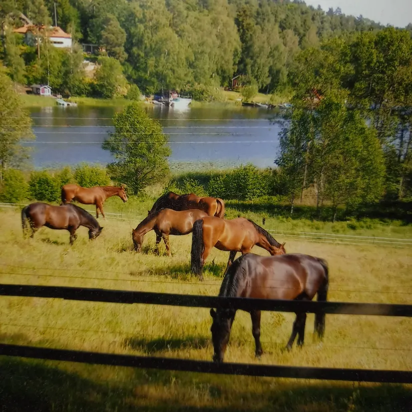 Villa, Sjöbergsvägen 25, Stava, Österåker