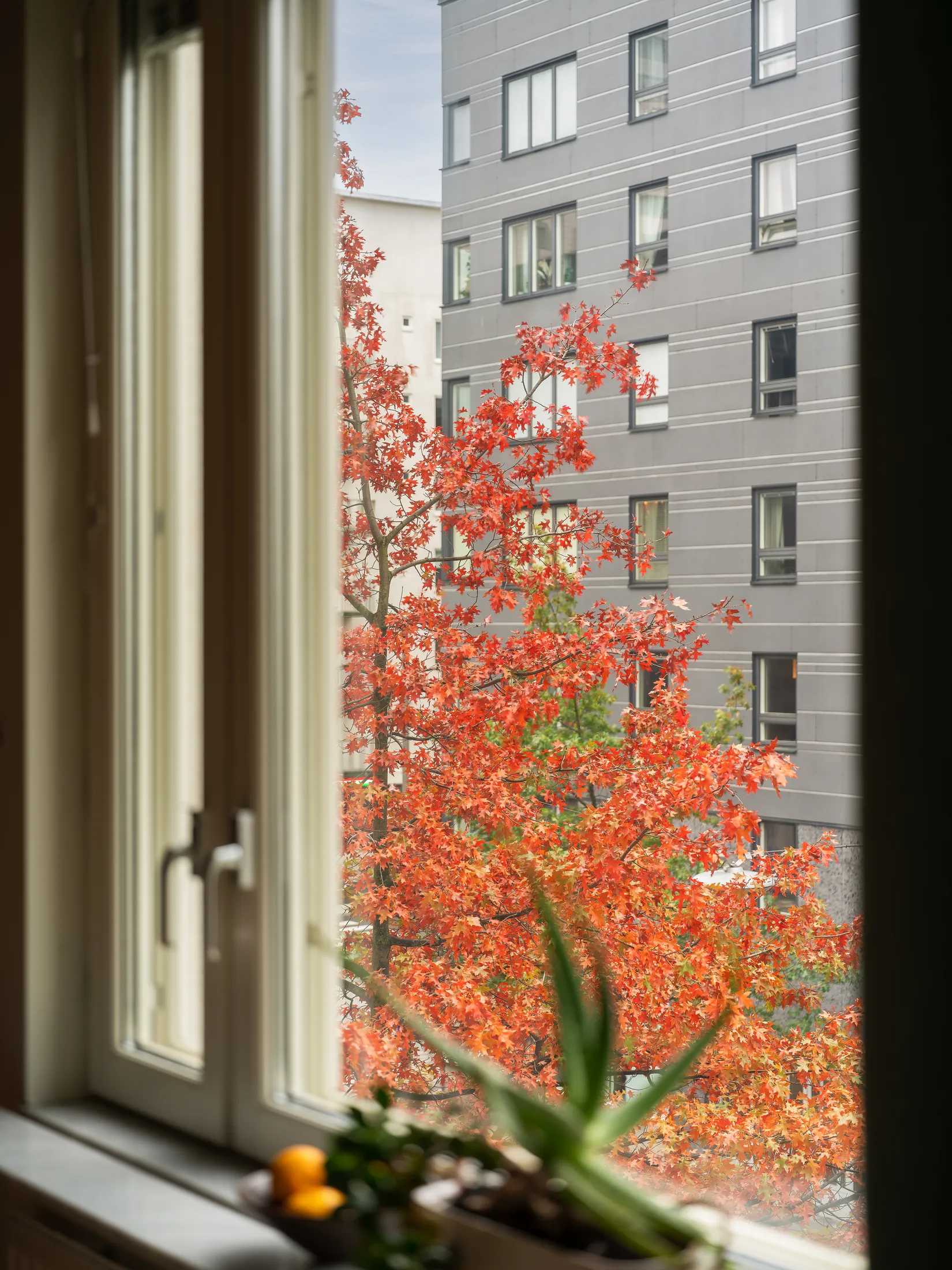 Bostadsrätt, Vinodlargatan 11, Liljeholmskajen, Stockholm