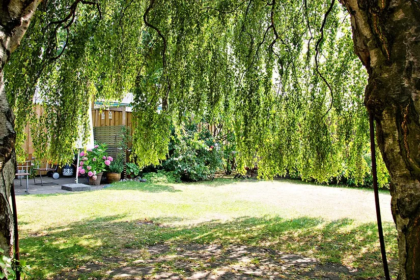 Bostadsrätt, Torngatan 38 B, Kirseberg, Malmö