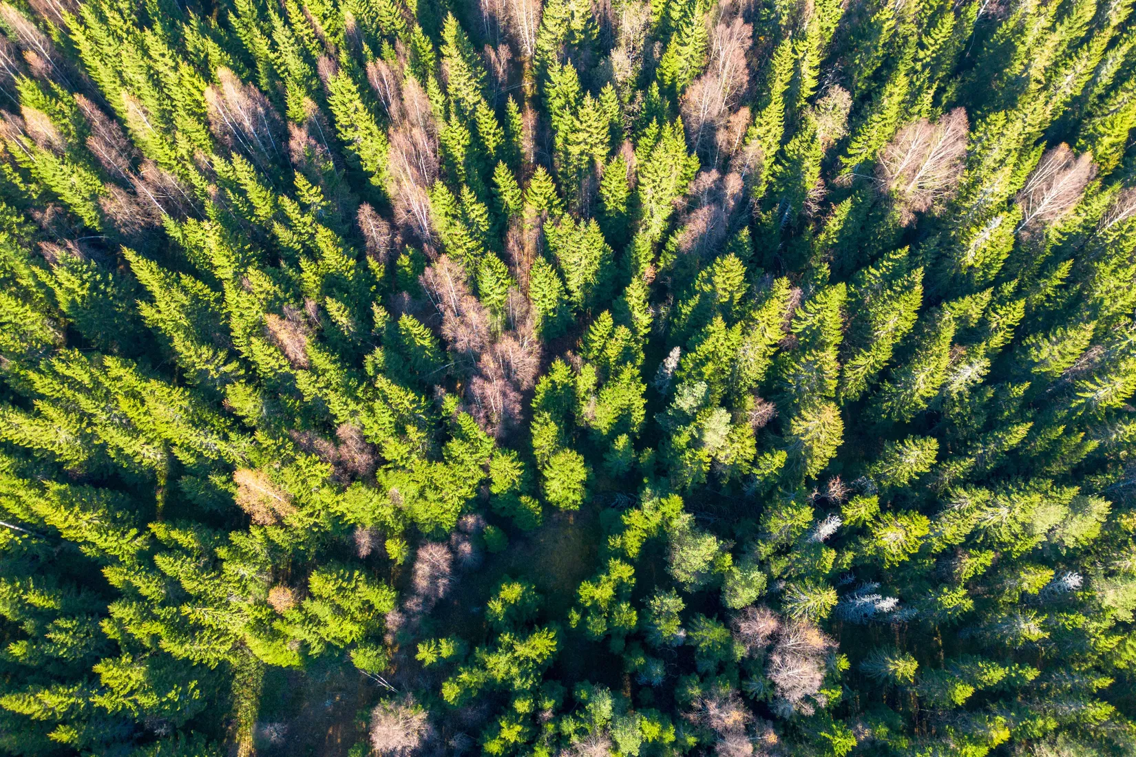Gård/Skog, Innerfälle 134, Härnösand