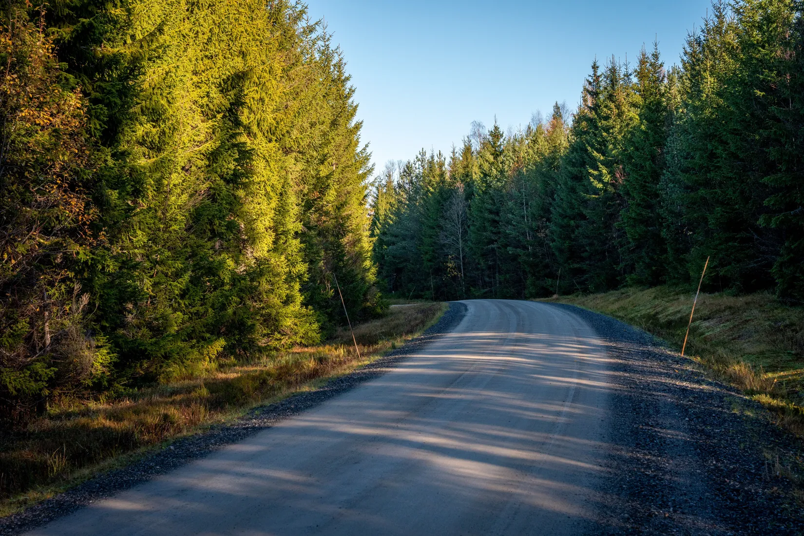 Gård/Skog, Innerfälle 134, Härnösand