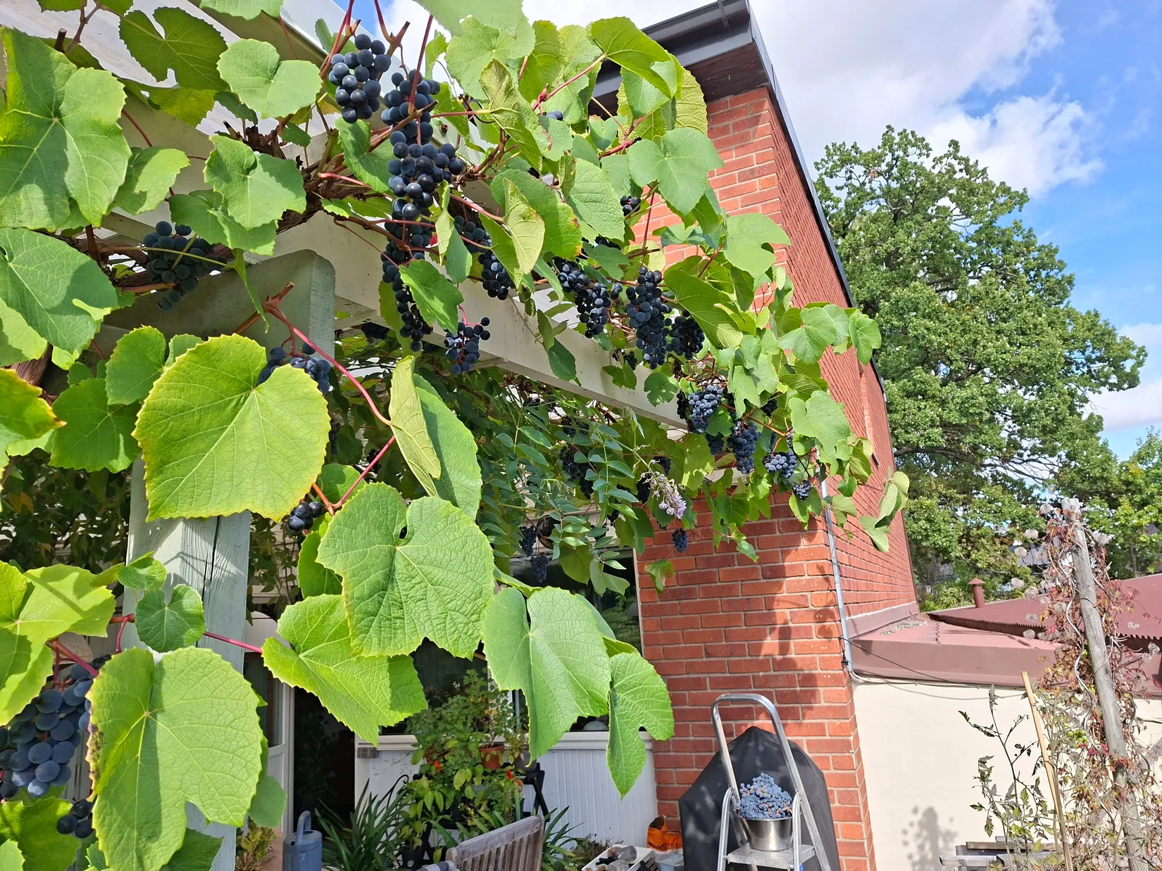 Radhus, Karlfeldtsgatan 81, Nordanby, Västerås
