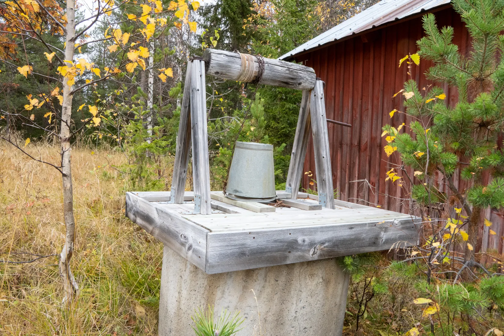 Gård/Skog, Johannisberg 2, Malå