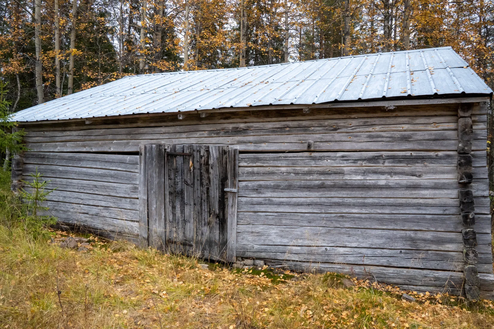 Gård/Skog, Johannisberg 2, Malå