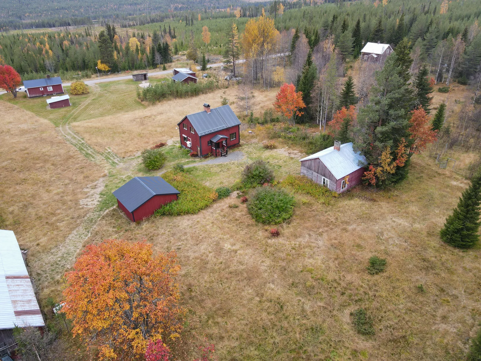 Gård/Skog, Johannisberg 2, Malå
