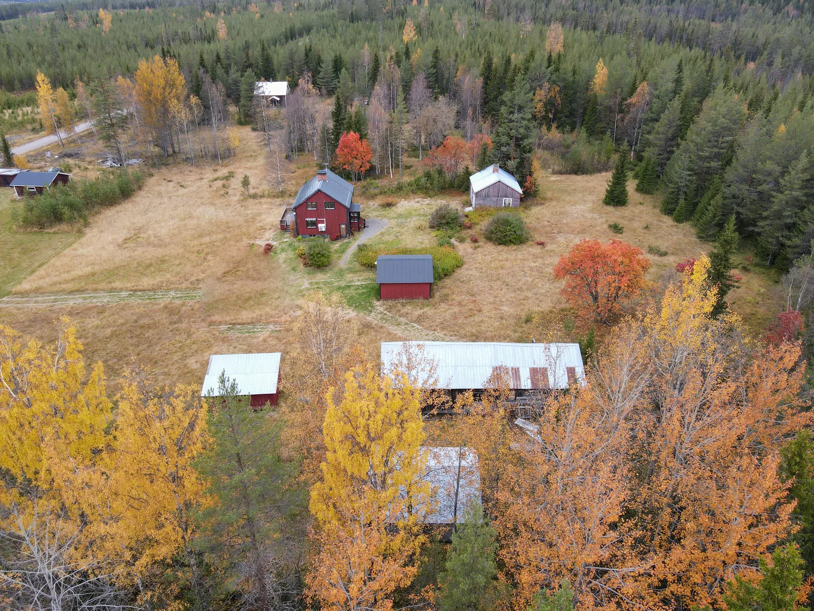Gård/Skog, Johannisberg 2, Malå