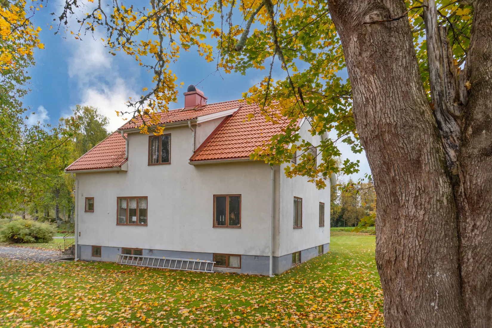 Gård/Skog, Ekhult 1, Nya Hjälmseryd, Sävsjö