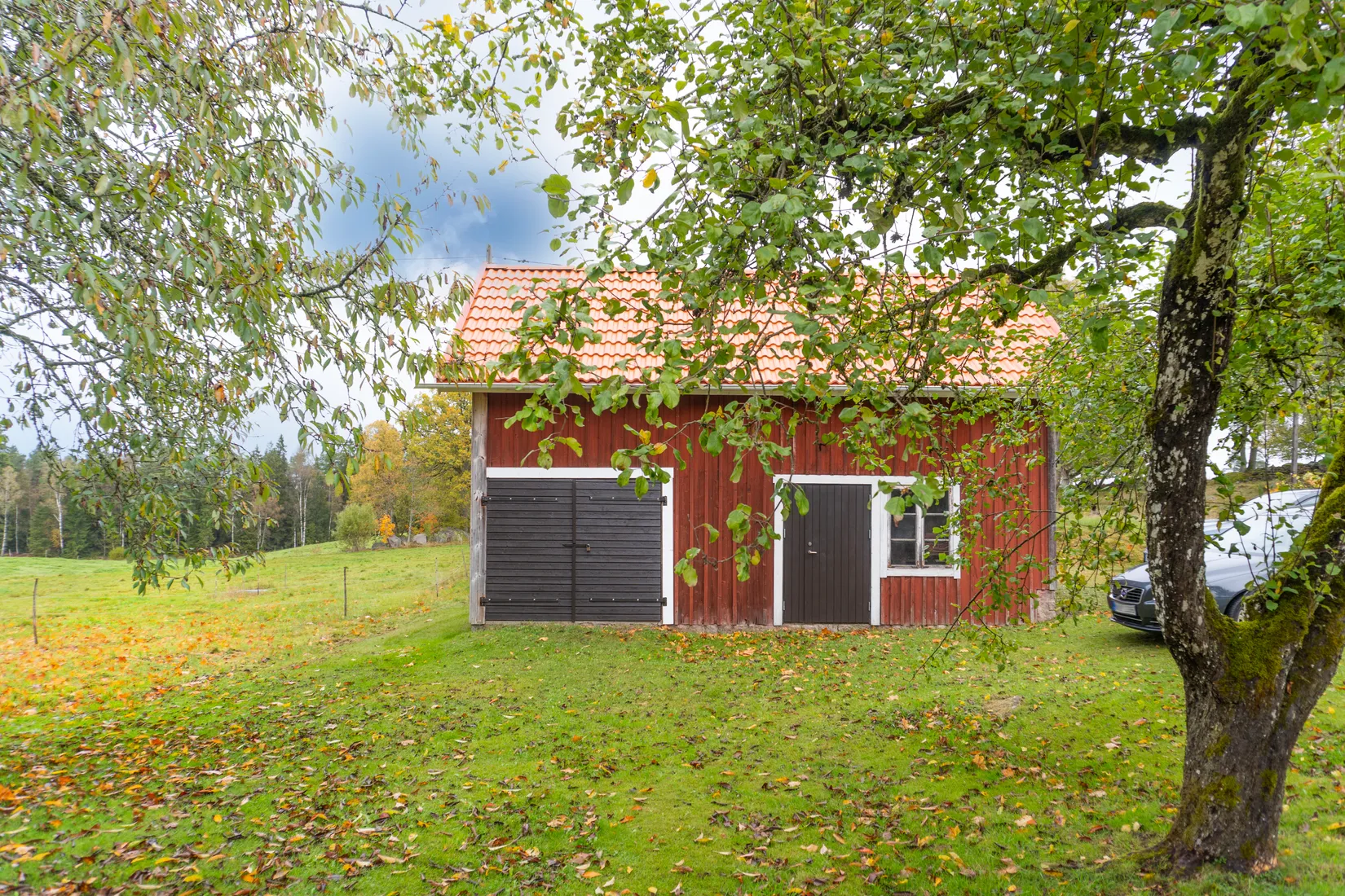 Gård/Skog, Ekhult 1, Nya Hjälmseryd, Sävsjö