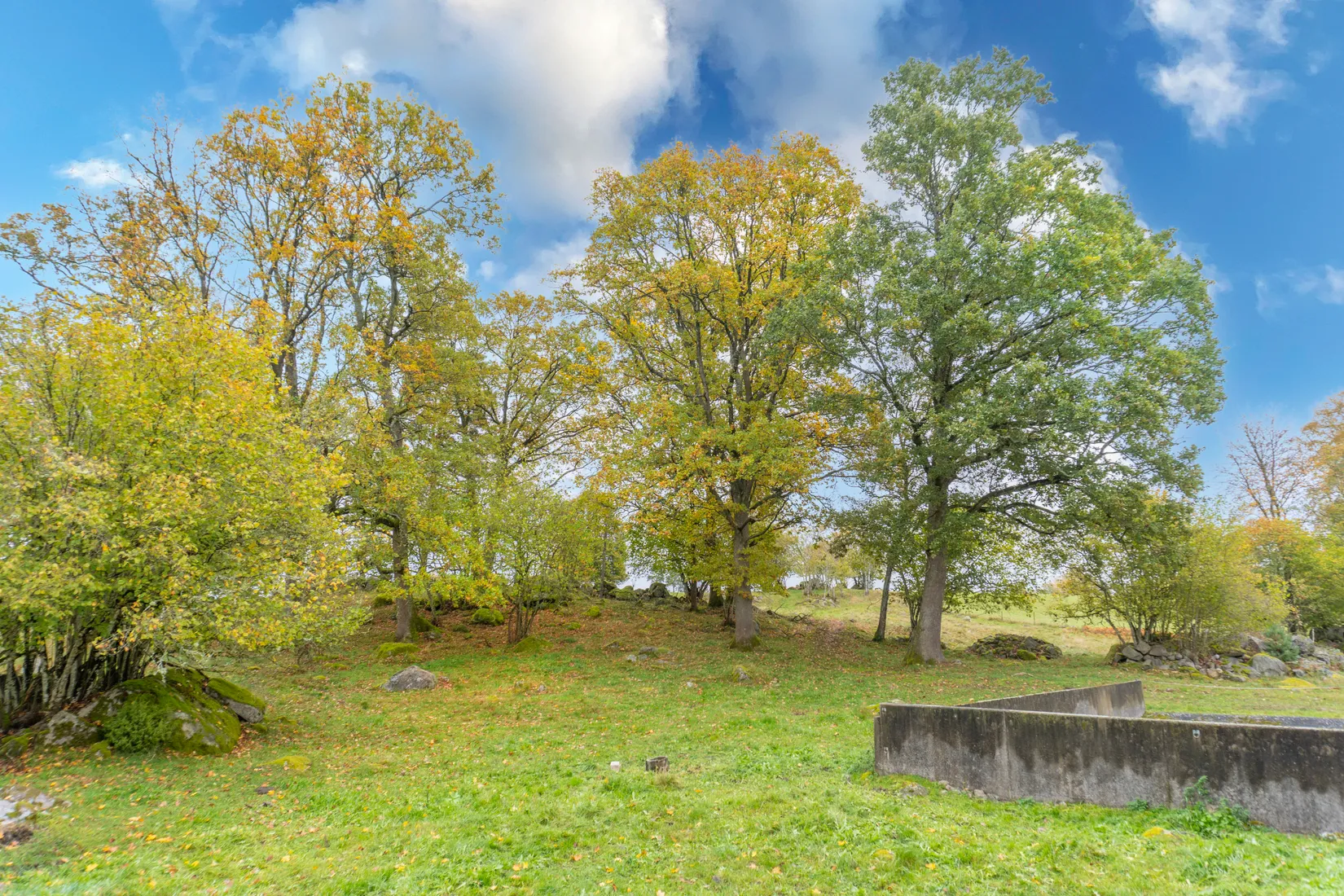 Gård/Skog, Ekhult 1, Nya Hjälmseryd, Sävsjö