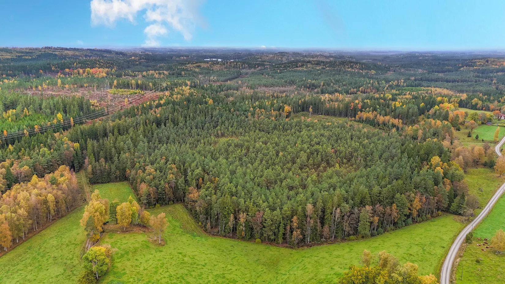 Gård/Skog, Ekhult 1, Nya Hjälmseryd, Sävsjö