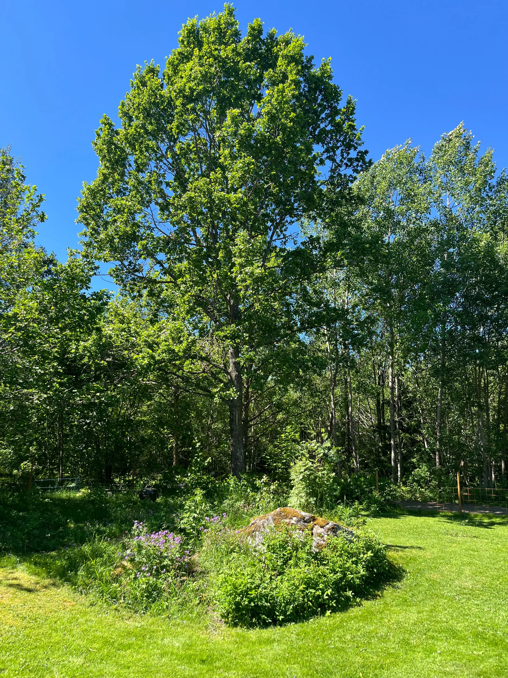 Villa, Stålsvägen 6, Roslagsbro, Norrtälje