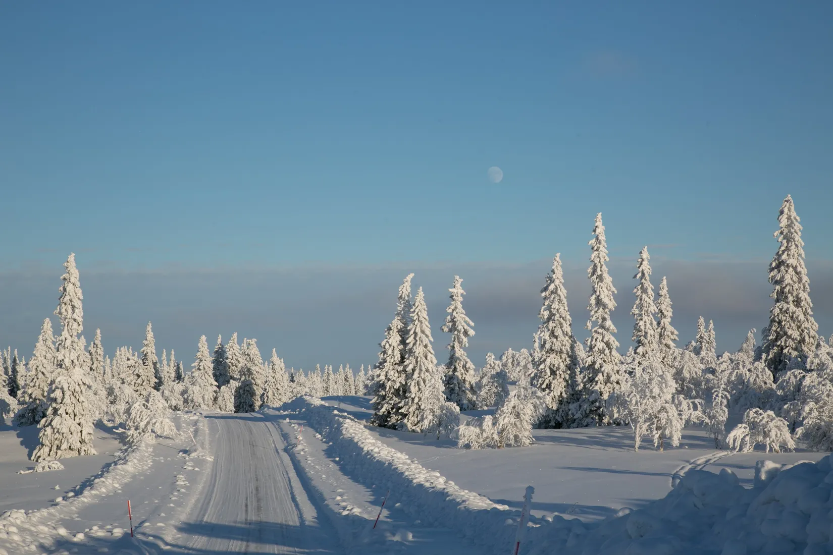 Tomt, Tomt Slagavallen Vonks väg, Härjedalen