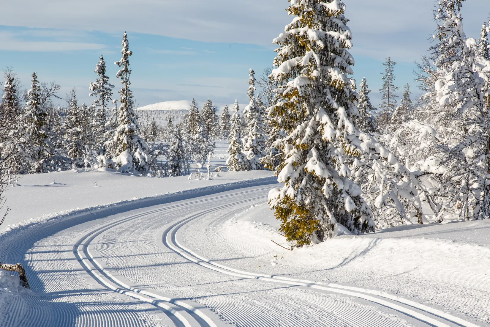 Tomt, Tomt Slagavallen Vonks väg, Härjedalen