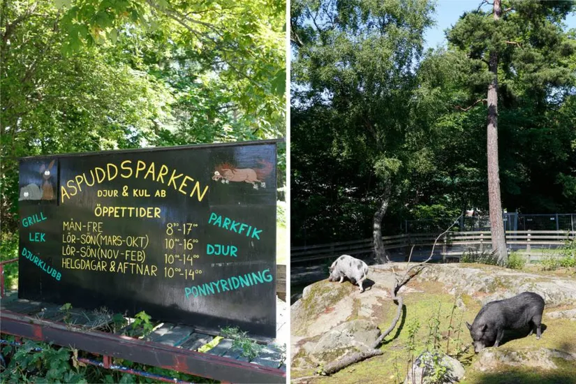 Bostadsrätt, Jarl Kulles Gata 1, Aspudden/Örnsberg, Stockholm