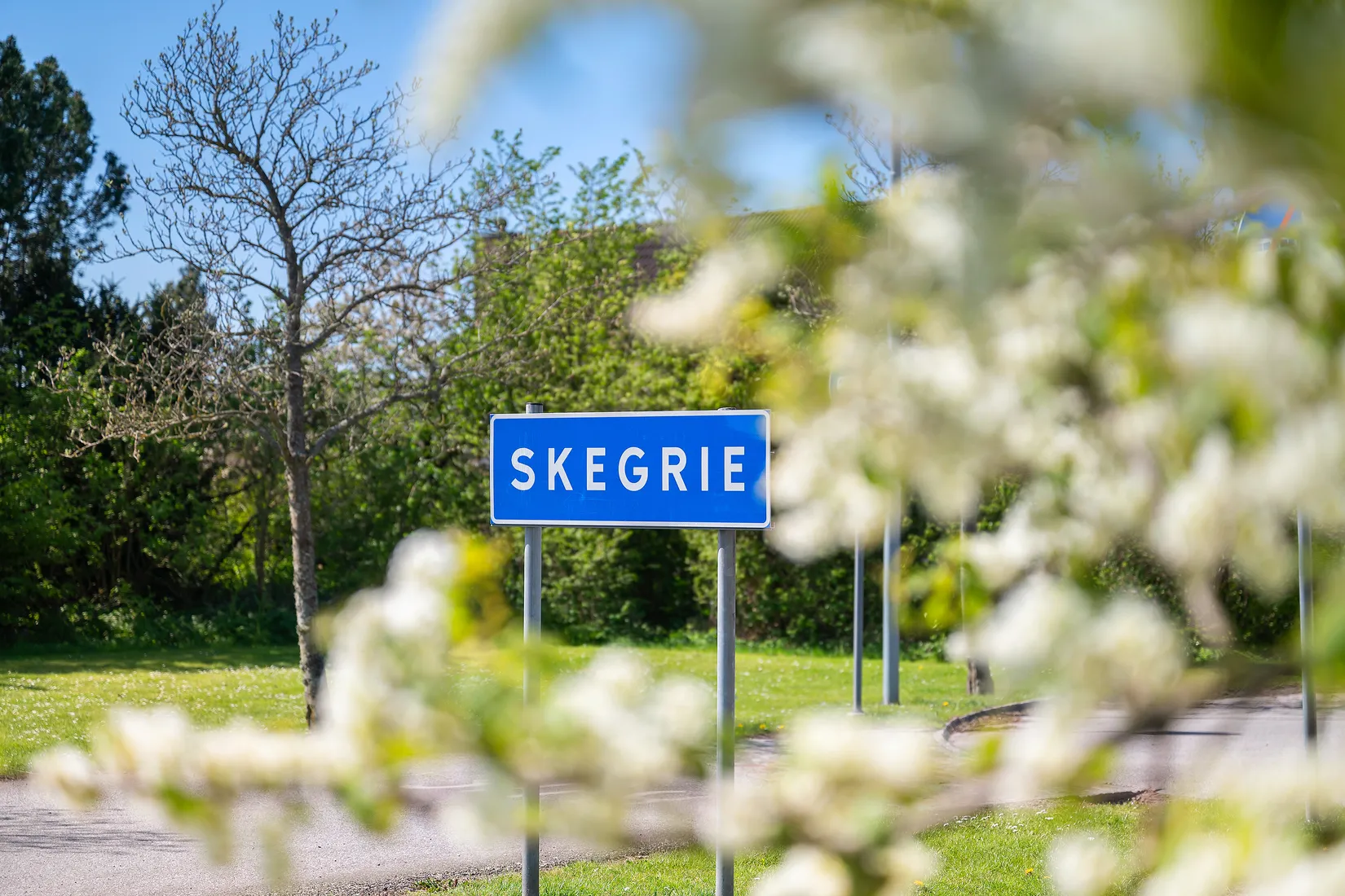 Radhus, Maja-Lisa Grönbergs väg 15E, Skegrie, Trelleborg