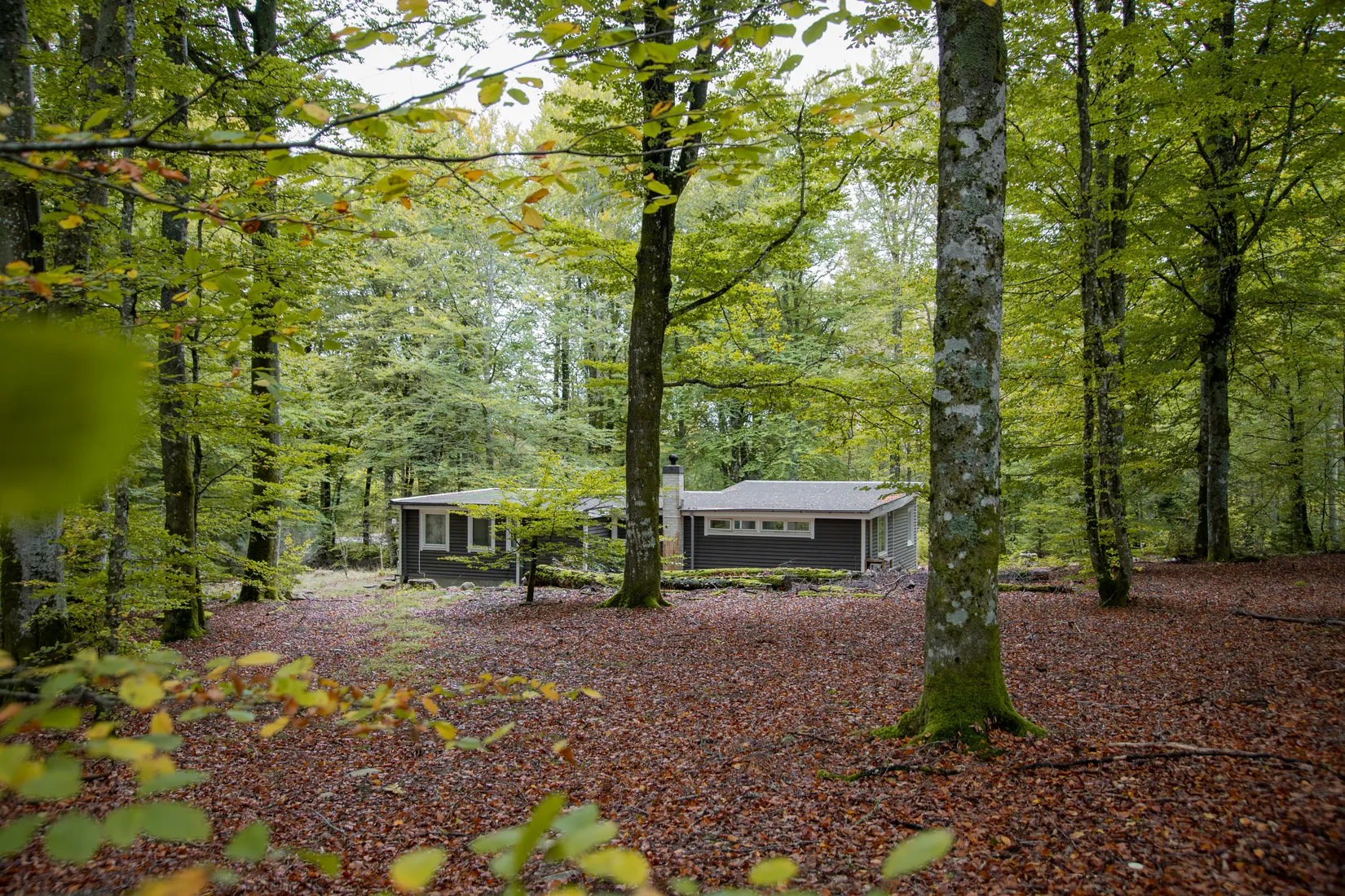 Fritidshus, Norra Essestorp 1025, Hästveda, Hässleholm