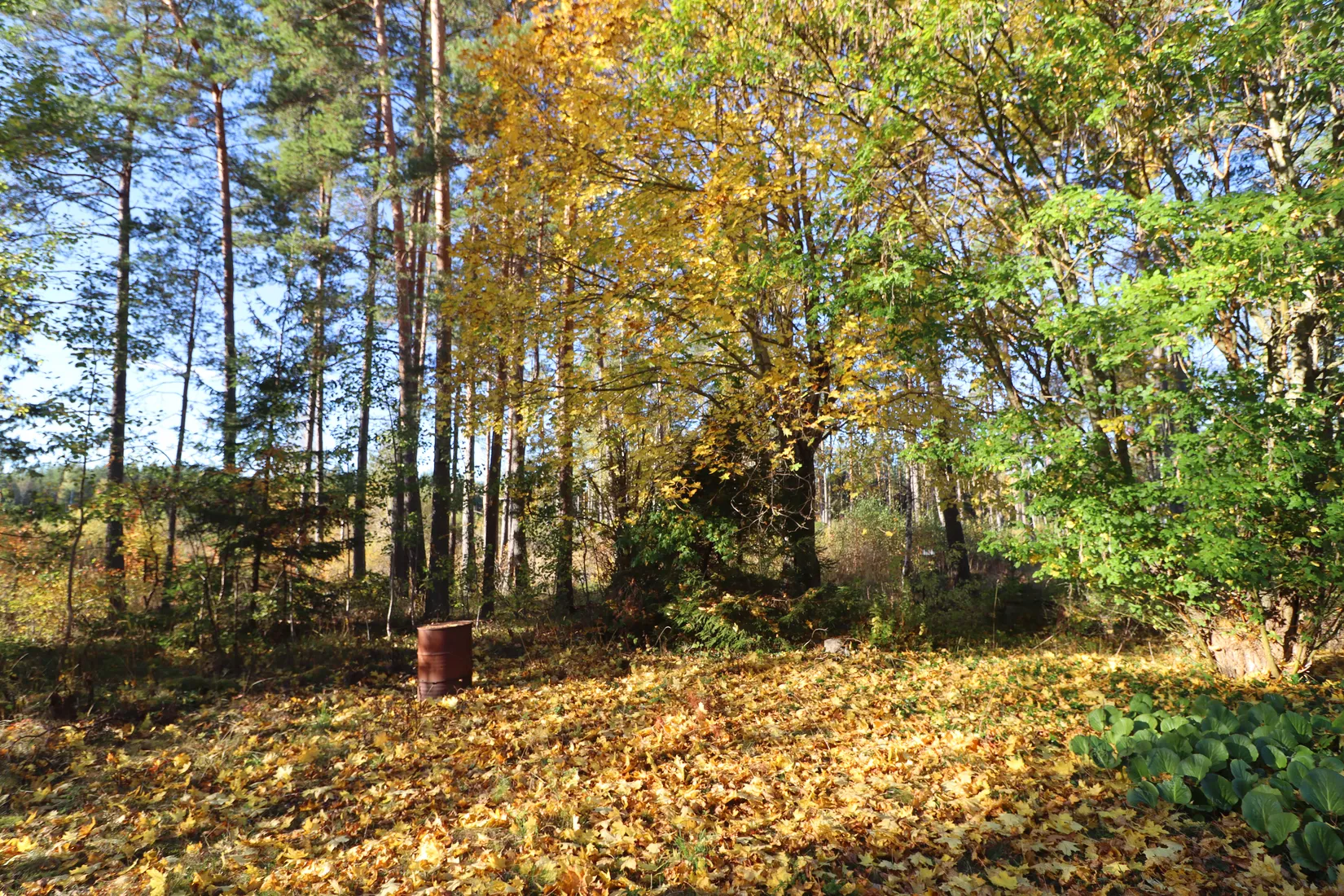 Gård/Skog, Haglundavägen 17, Gottröra - Haglunda, Norrtälje