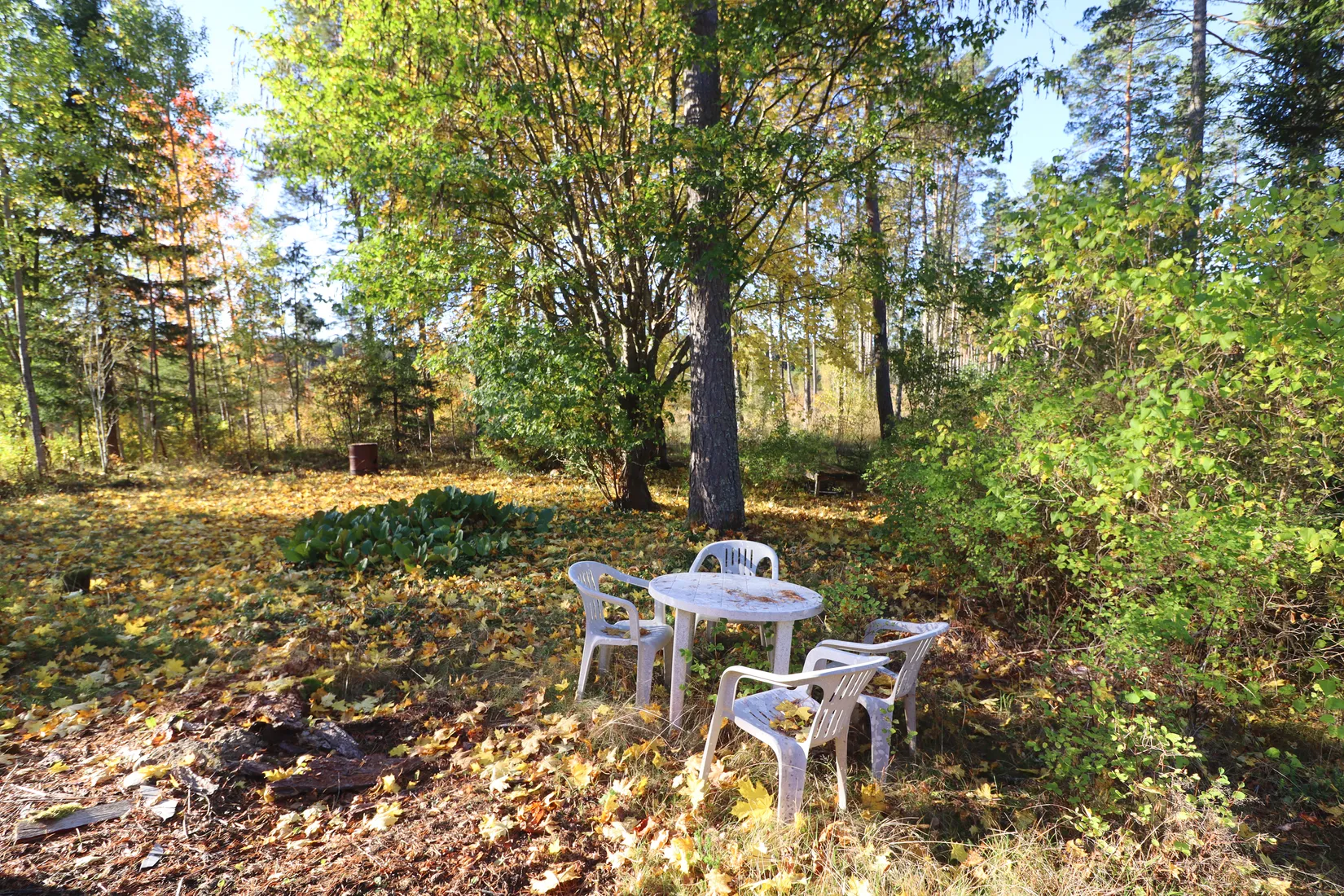 Gård/Skog, Haglundavägen 17, Gottröra - Haglunda, Norrtälje