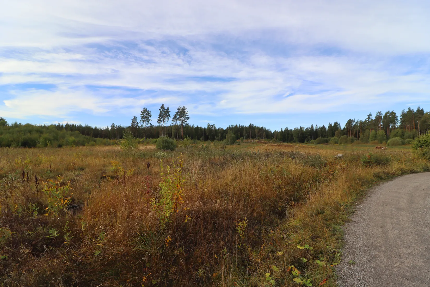 Gård/Skog, Haglundavägen 17, Gottröra - Haglunda, Norrtälje