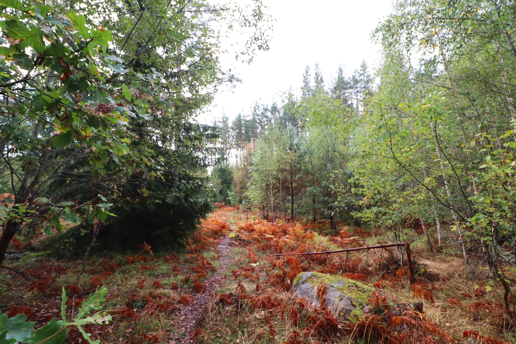 Gård/Skog, Haglundavägen 17, Gottröra - Haglunda, Norrtälje
