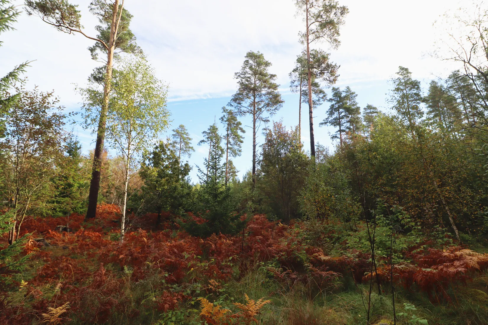 Gård/Skog, Haglundavägen 17, Gottröra - Haglunda, Norrtälje