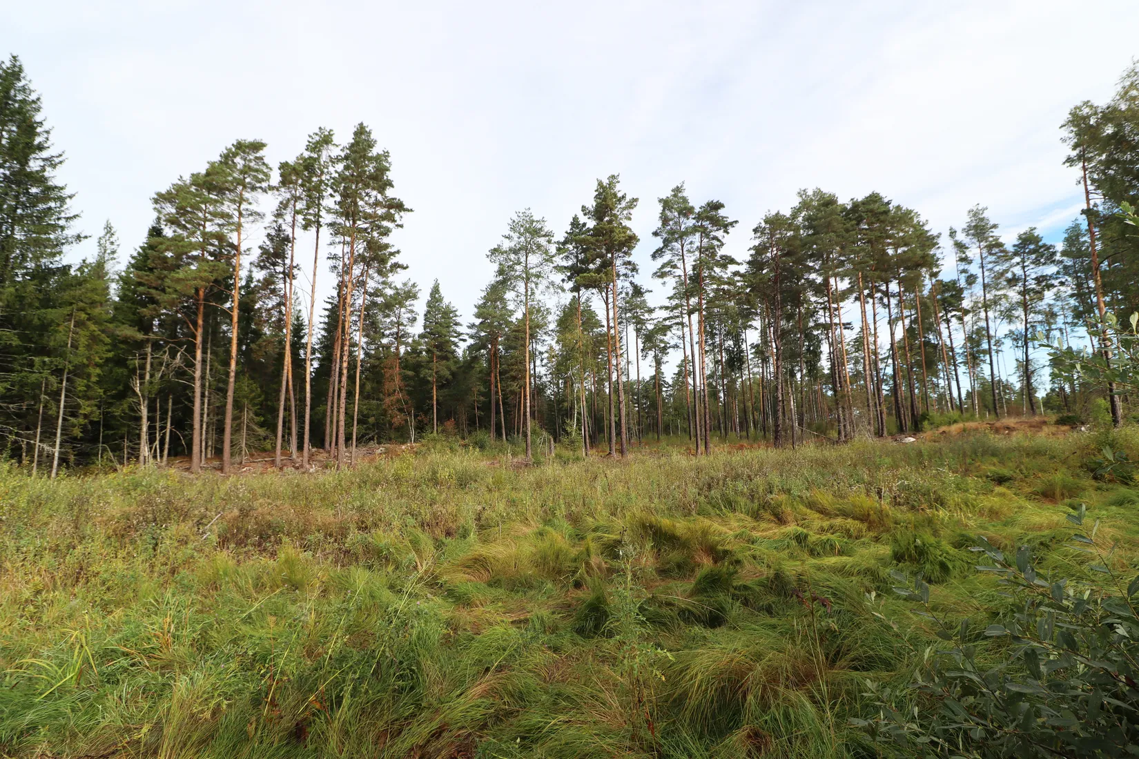 Gård/Skog, Haglundavägen 17, Gottröra - Haglunda, Norrtälje
