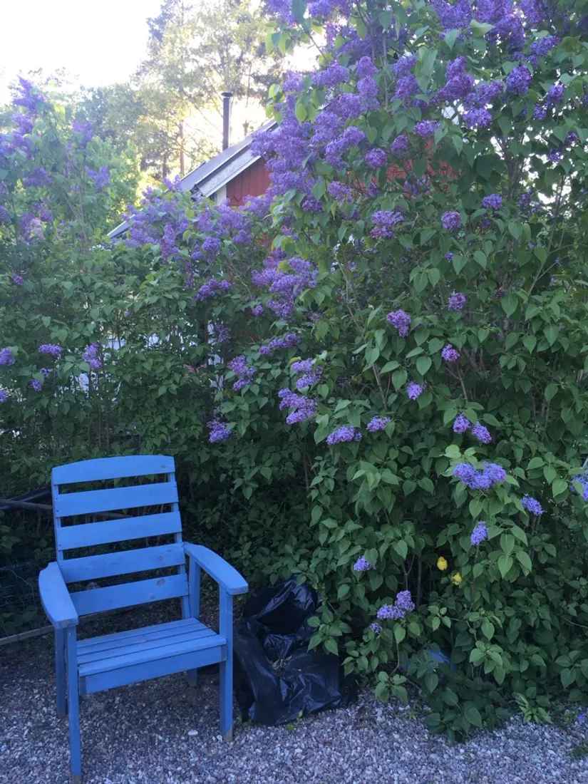Fritidshus, Koloniföreningen Linnea stuga nr 15, Eskilstuna