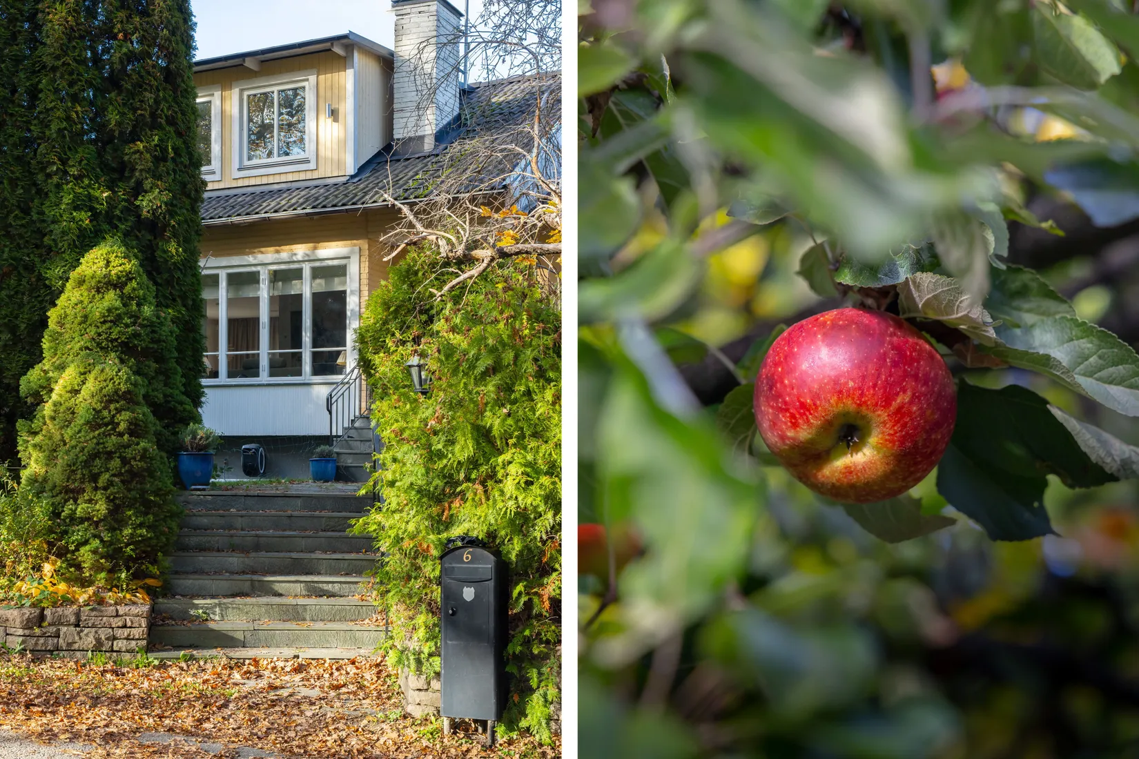 Villa, Böningers väg 6, Skogsvik, Danderyd