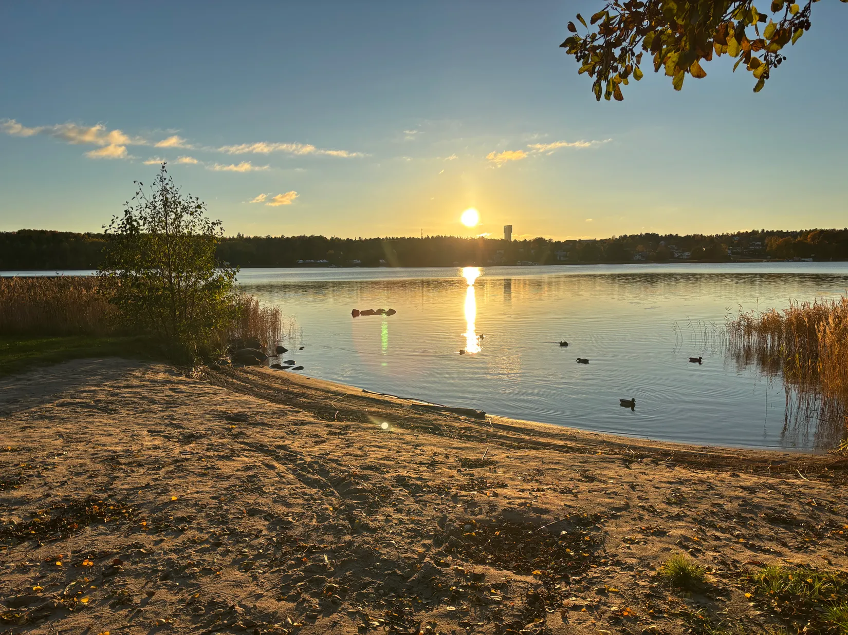 Villa, Böningers väg 6, Skogsvik, Danderyd