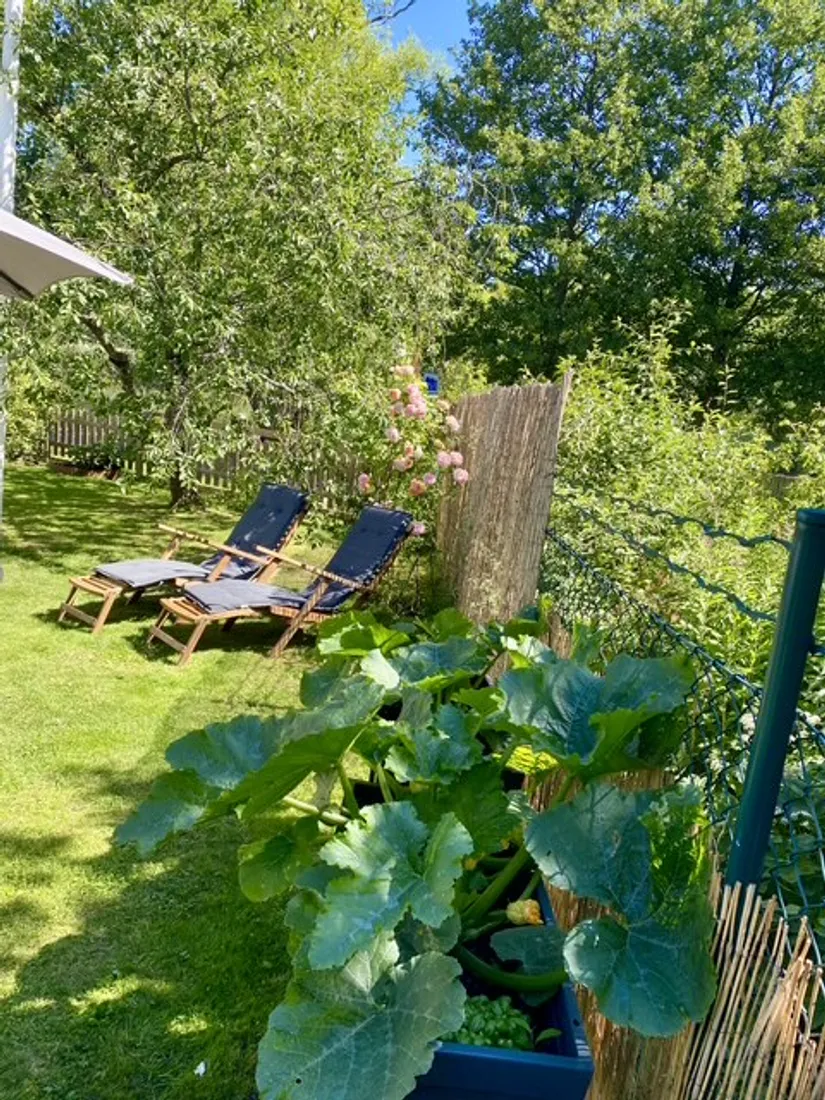 Fritidshus, Morotsvägen 46, Kolonistuga Ådala koloniområde, Johannelund, Linköping