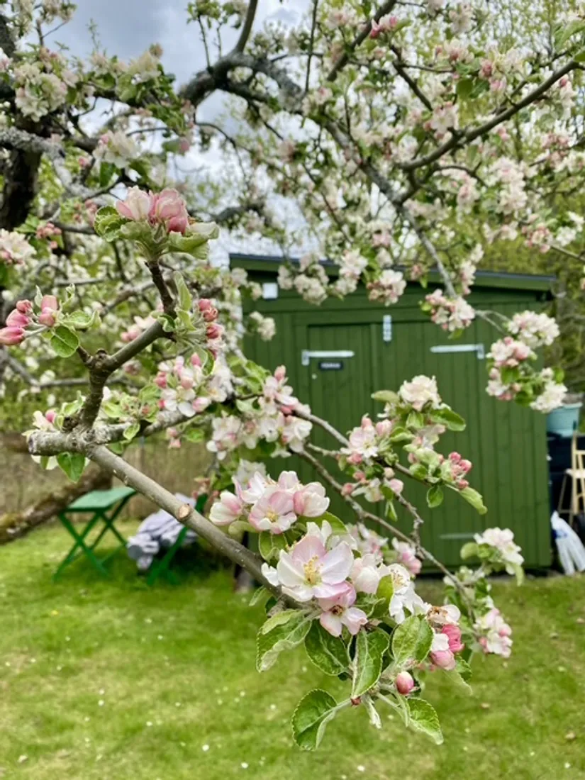 Fritidshus, Morotsvägen 46, Kolonistuga Ådala koloniområde, Johannelund, Linköping